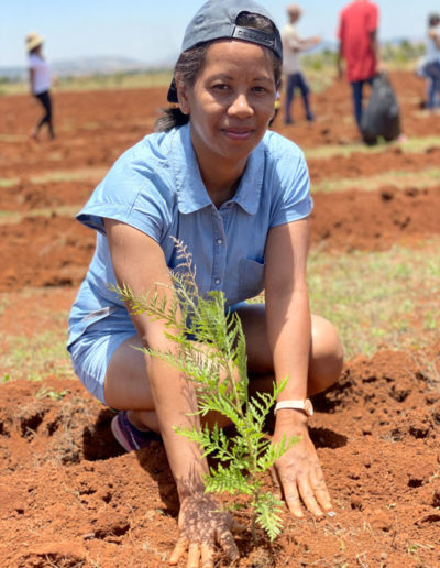 Reforestation de Madagascar : COSOURCING s'engage