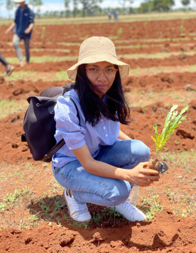 Reforestation de Madagascar : COSOURCING s'engage