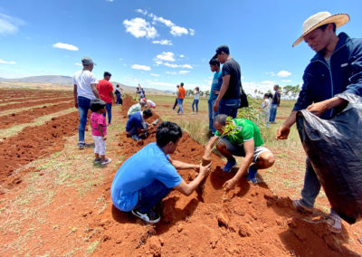 Reforestation de Madagascar : COSOURCING s'engage