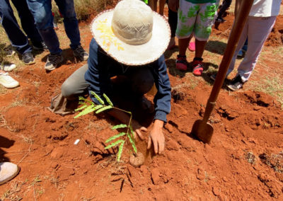 Reforestation de Madagascar : COSOURCING s'engage