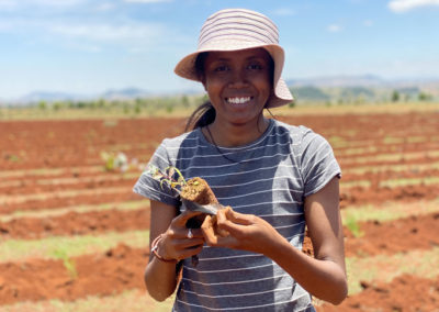 Reforestation de Madagascar : COSOURCING s'engage