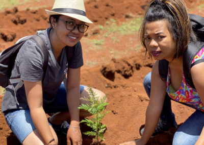 Reforestation de Madagascar : COSOURCING s'engage