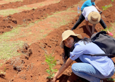 Reforestation de Madagascar : COSOURCING s'engage