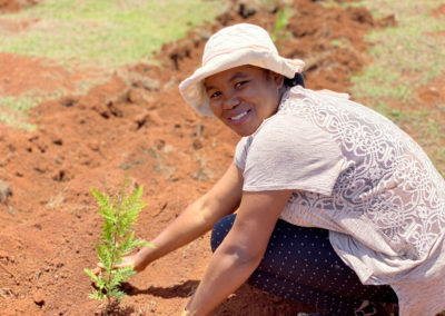 Reforestation de Madagascar : COSOURCING s'engage